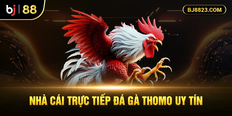 Nhà cái trực tiếp đá gà thomo uy tín