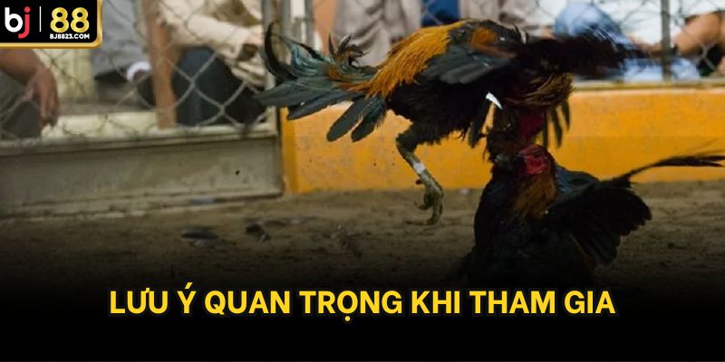Lưu ý quan trọng khi tham gia