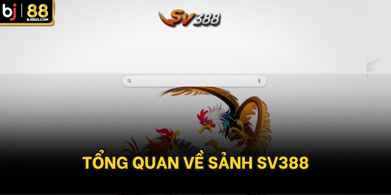Tổng quan về sảnh SV388