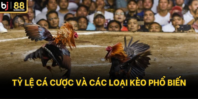 Tỷ lệ cá cược và các loại kèo phổ biến