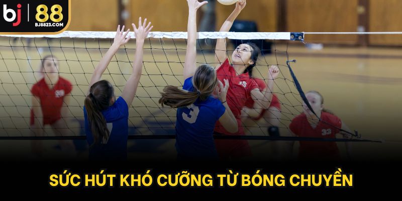 Sức hút khó cưỡng từ bóng chuyền