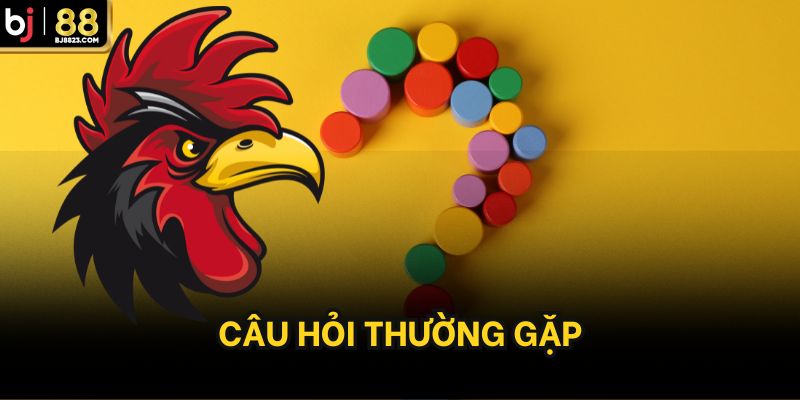 Câu hỏi thường gặp khi áp dụng